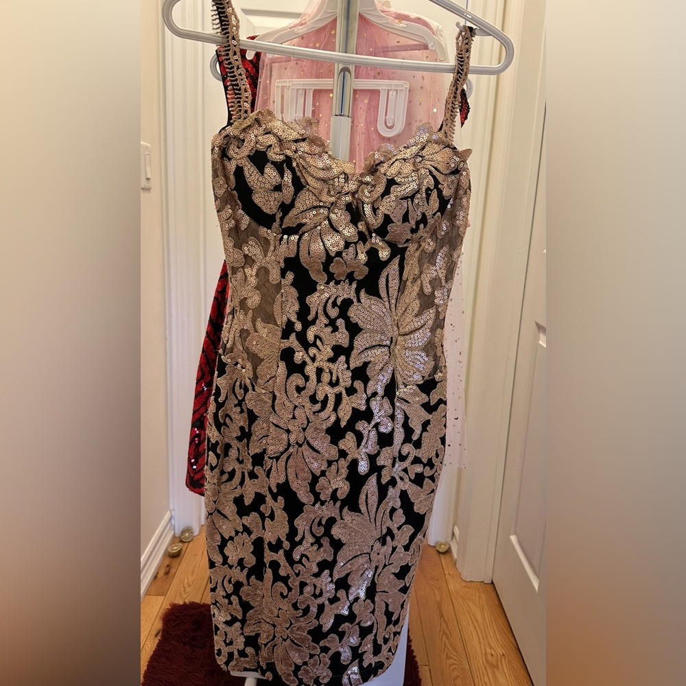 Black and gold lace dress!